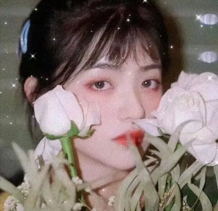狂风暴雨群芳刦