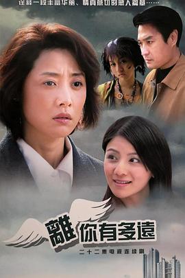 晓梦迷蝴蝶 封面图